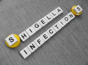 Shigella infections
