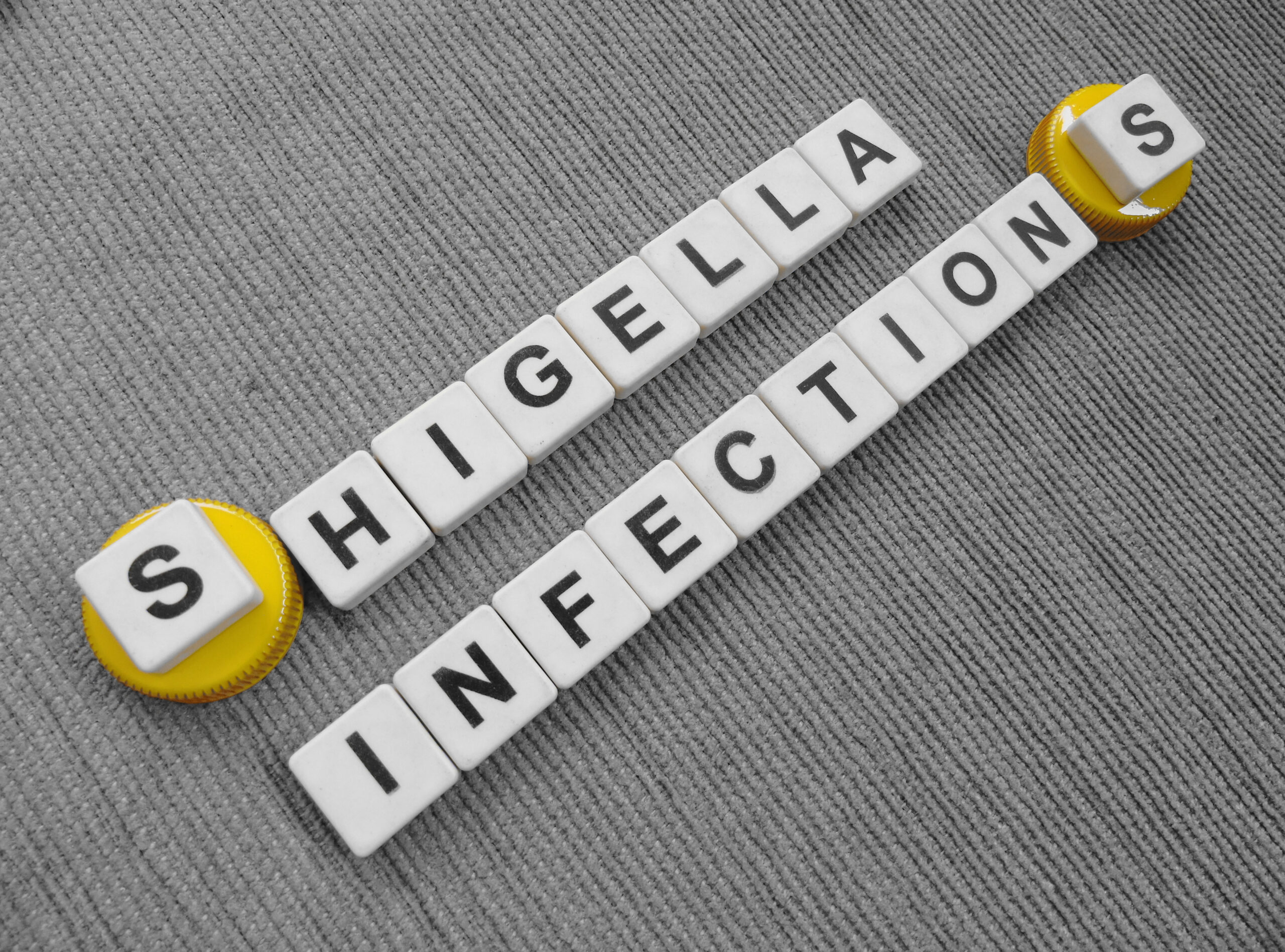 Shigella infections