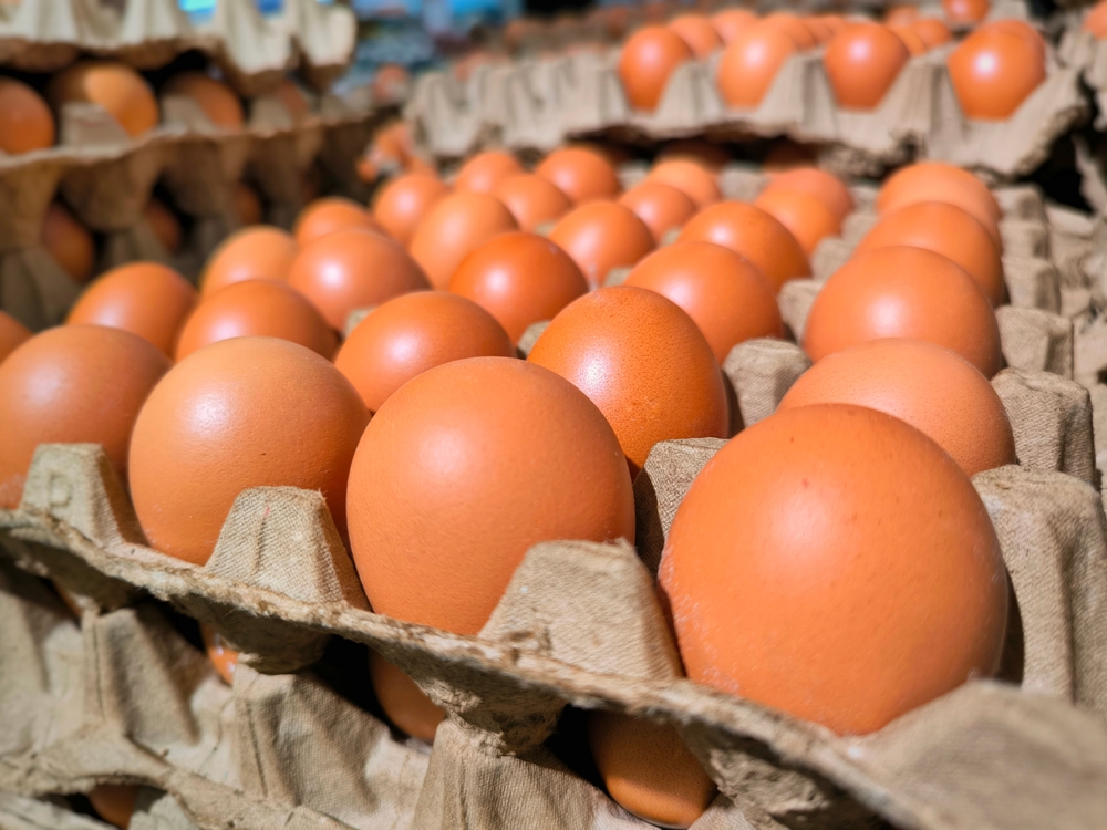 eggs