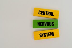 Nervous