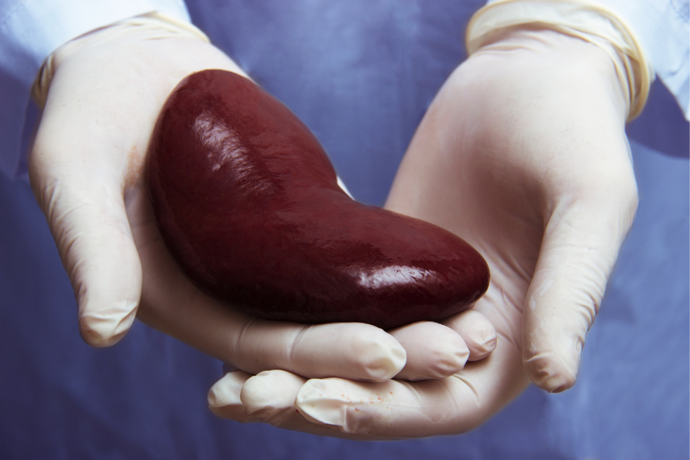 Kidney/ High blood pressure