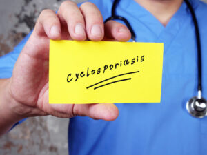 cyclospora, Cyclosporiasis